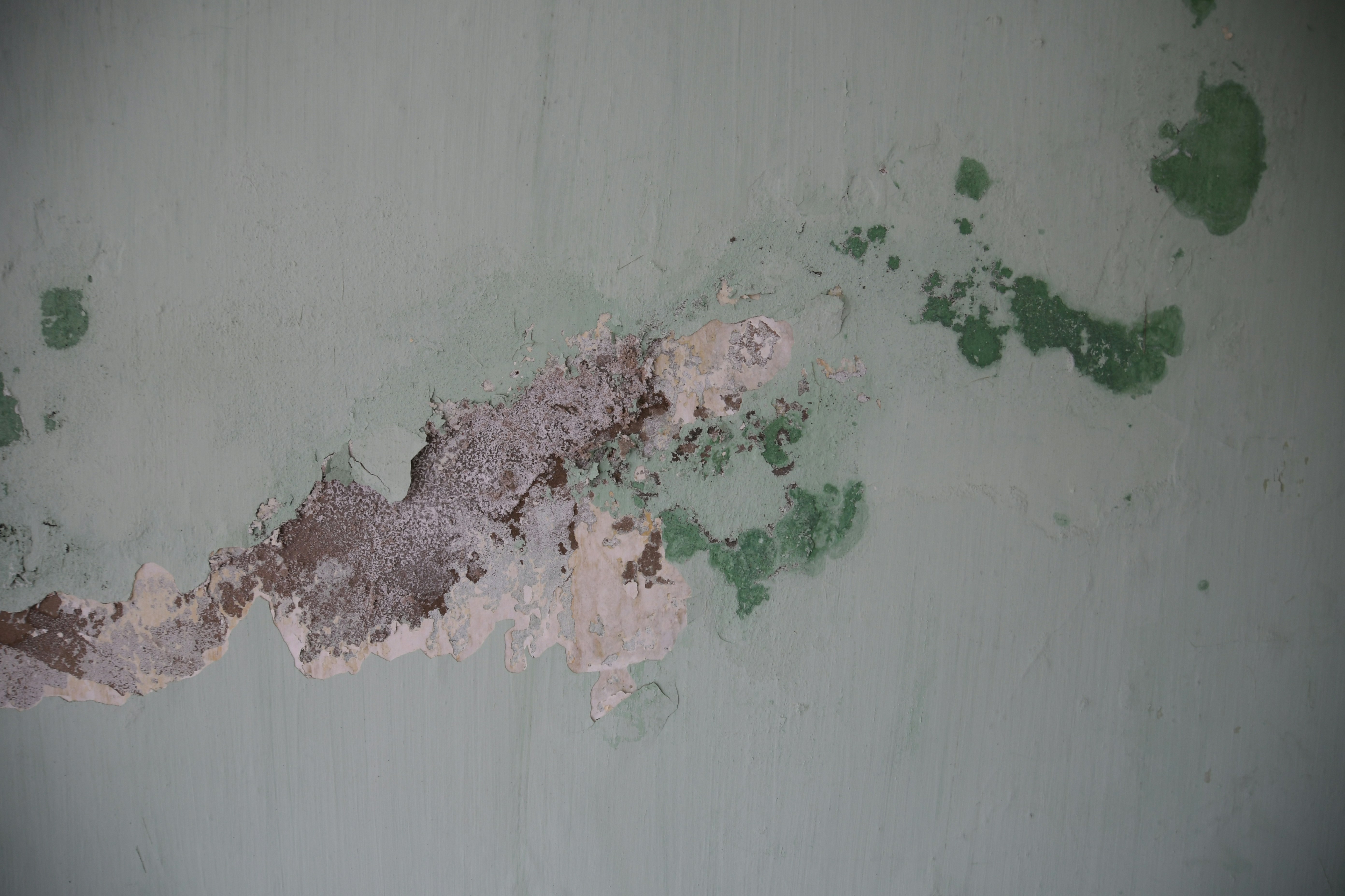 Portland home exterior painting example