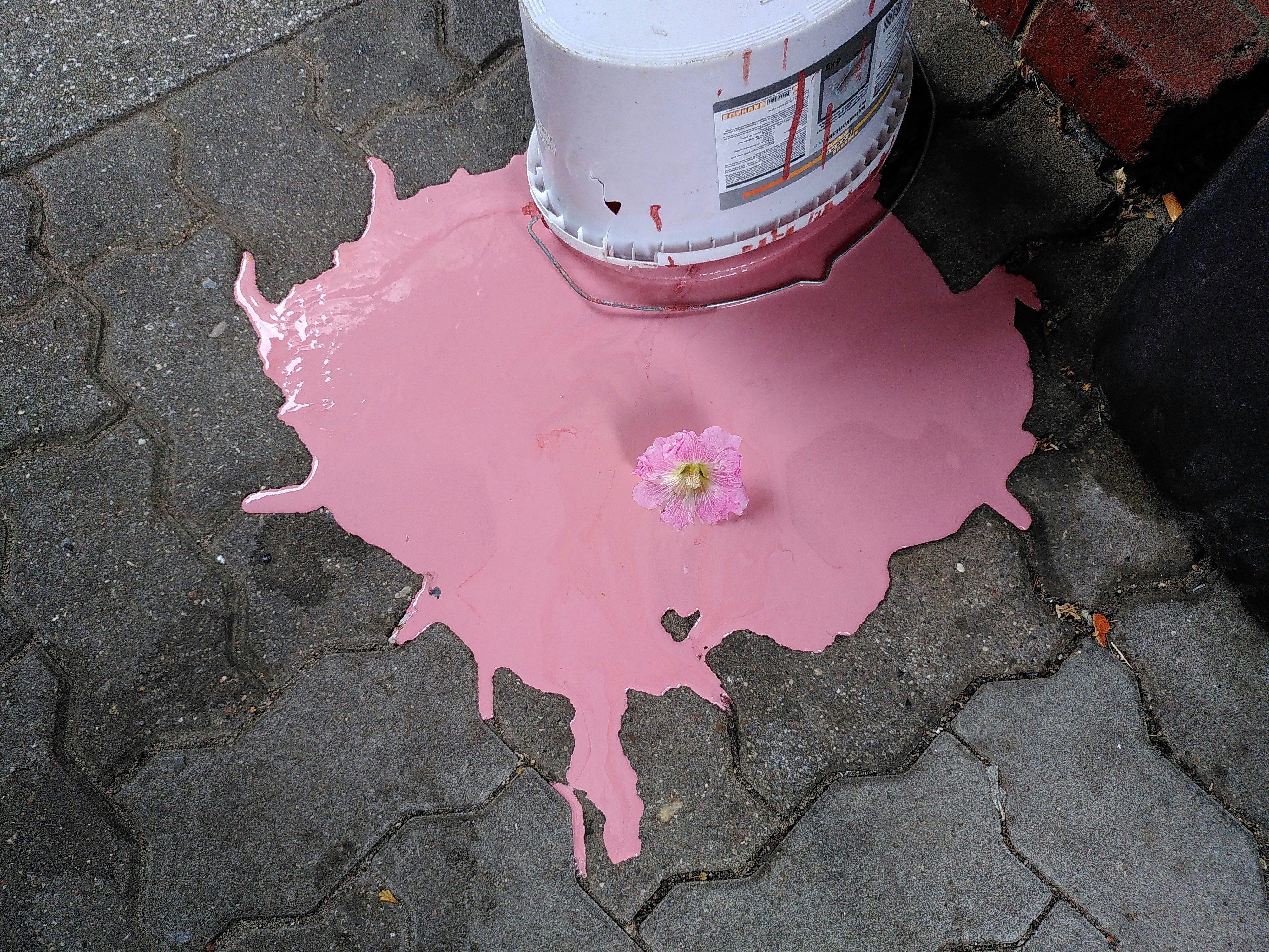 Portland home exterior painting example